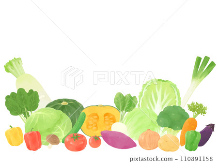 各種蔬菜的集合插圖，手繪風格 110891158