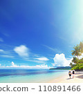 people walking on a tropical beach 110891466