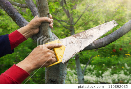 Man's hands sawing a tree Man's hands sawing a tree 110892085
