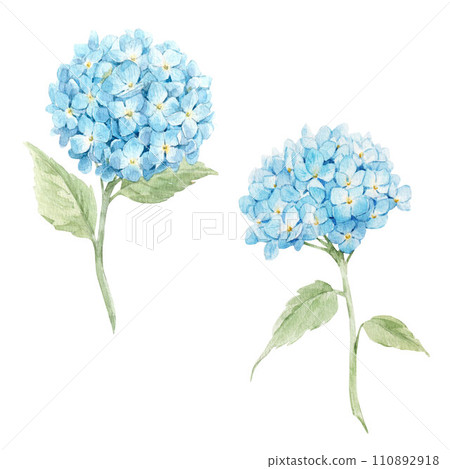 Beautiful floral set with watercolor hand drawn hydrangea flowers. Nature illustration. Stock clip art. Beautiful floral set with watercolor hand drawn hydrangea flowers. Nature illustration. Stock clip art. 110892918