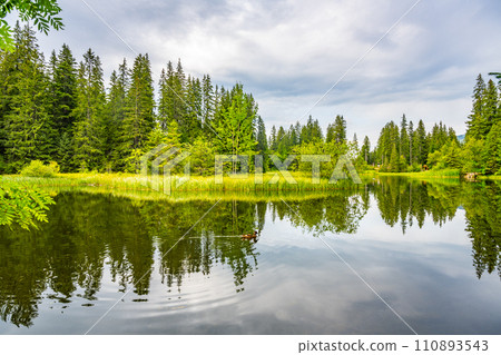 Vrbicke glacial lake and the largest natural lake in Low Tatras, Slovakia Vrbicke glacial lake and the largest natural lake in Low Tatras, Slovakia 110893543