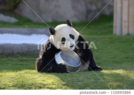湯濱的牛奶時間 湯濱的牛奶時間 110893866