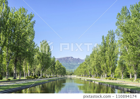 Canal and poplar trees Maeda Forest Park Sapporo City 110894174