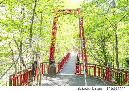 札幌市定山溪二見吊橋的新綠 札幌市定山溪二見吊橋的新綠 110894311
