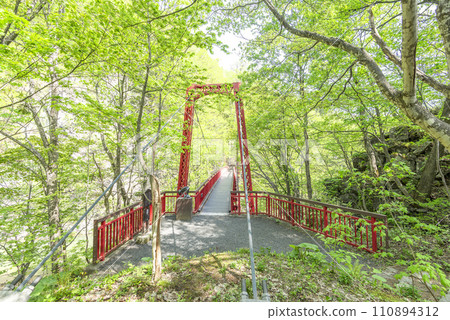 札幌市定山溪二見吊橋的新綠 札幌市定山溪二見吊橋的新綠 110894312