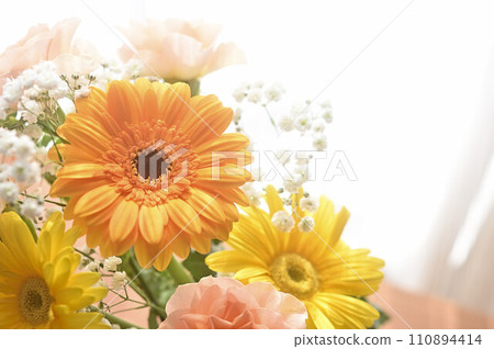 Orange gerberas are by the window with white curtains Orange gerberas are by the window with white curtains 110894414