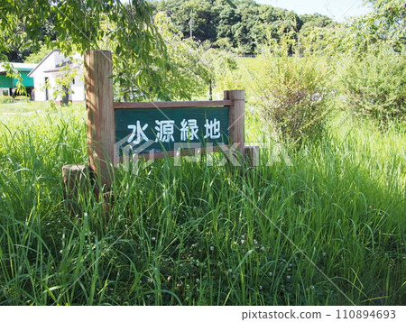 Summer water source park scenery Summer water source park scenery 110894693