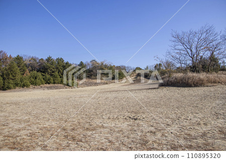 總江沙丘 110895320