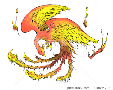 酷朱雀的插圖 110895708