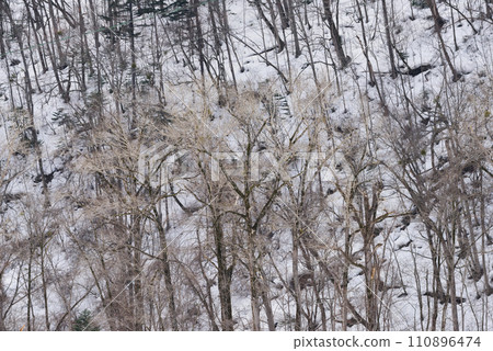 三月富良野的雪景 110896474