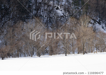 三月富良野的雪景 110896477