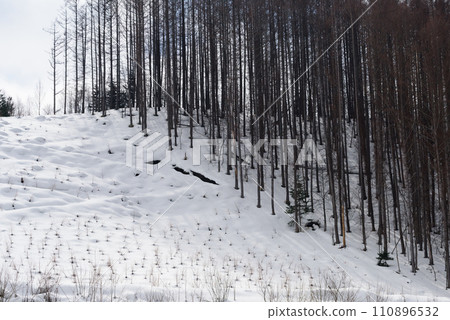 Snow scene in Furano in March Snow scene in Furano in March 110896532