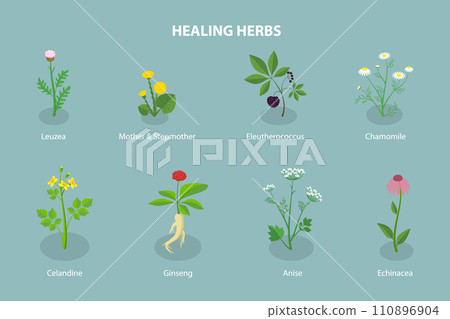 3D Isometric Flat Vector Set of Healing Herbs 110896904