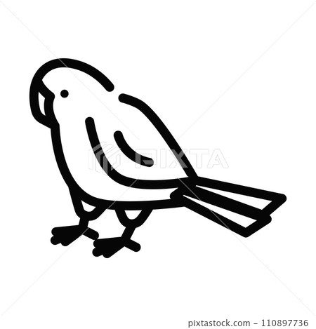 長尾小鸚鵡鳥圖 110897736