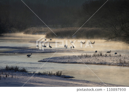 一台雪鶴 一台雪鶴 110897930