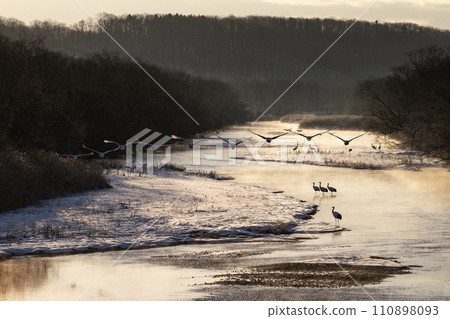 一台雪鶴 一台雪鶴 110898093