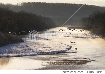 一台雪鶴 110898094