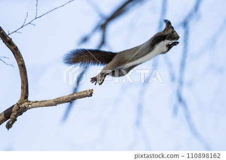 Ezolith in winter forest 110898162