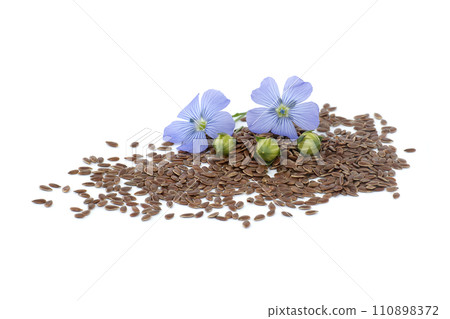 Flax (linseed) flower and seeds over white background 110898372