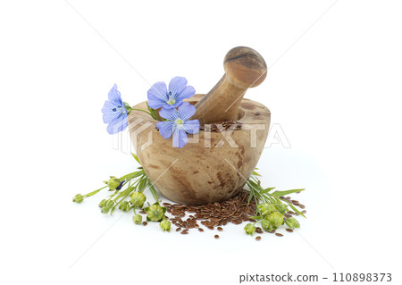Linseed and flax blossom with seed capsules on white 110898373
