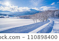 Snow in Hokkaido 110898400