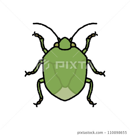 Bug Bug 110898655
