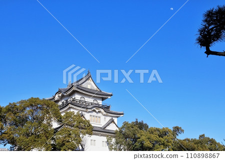 岸和田城和中午的月亮 110898867