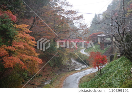 秋天的落葉包裹著鄉村風景 110899191