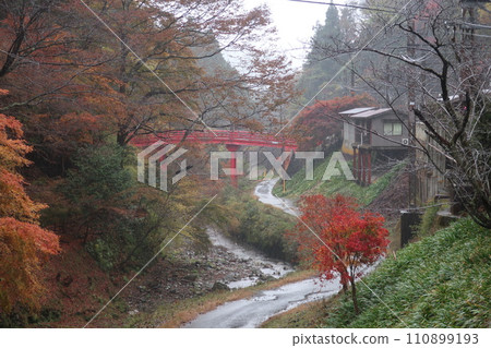 秋葉環繞的河流 110899193