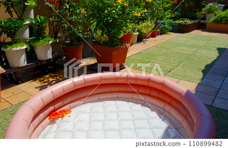 Gardening on the roof balcony, playing in the pool in summer 110899482