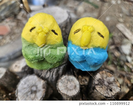 Budgie Parakeet Jizo 110899912