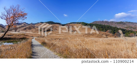 Autumn panoramic view of Tomine Plateau against the blue sky 110900214