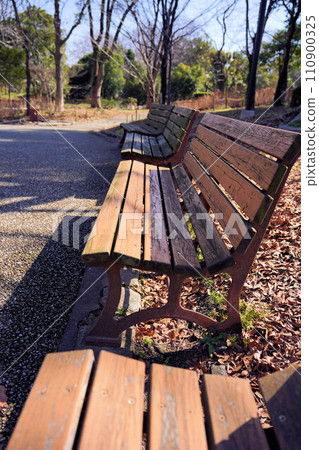 Bench in the park on a sunny autumn day 110900325