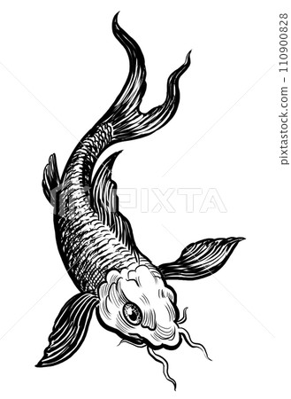 carp, fish, koi 110900828