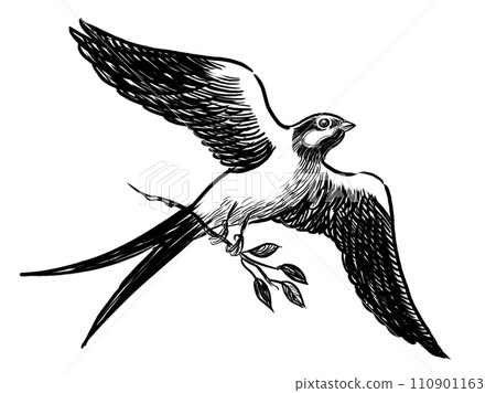 Flying swallow bird. Hand-drawn retro styled black and white illustration 110901163