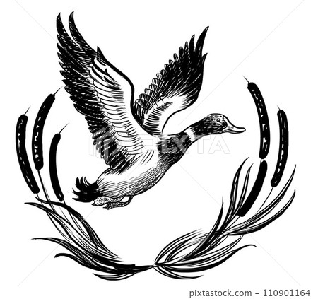 Flying mallard duck. Hand-drawn retro styled black and white illustration Flying mallard duck. Hand-drawn retro styled black and white illustration 110901164