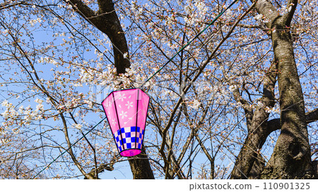 Gongendo的櫻花節 Gongendo的櫻花節 110901325