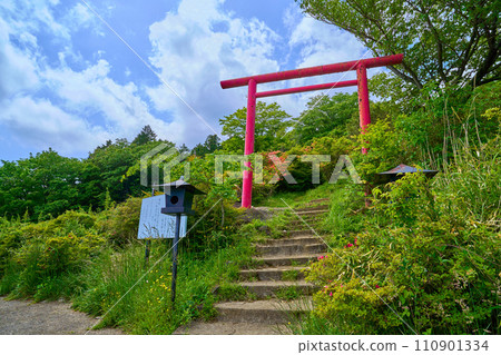 茨城縣筑波山春天的旅遊勝地:看伽瑪樂園(鳥居) 茨城縣筑波山春天的旅遊勝地:看伽瑪樂園(鳥居) 110901334