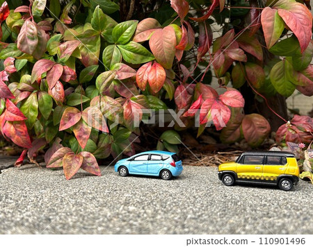 景觀與迷你車 景觀與迷你車 110901496