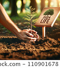 Tree Planting in Park with 2024 LIFE Sign 110901678