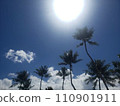 夏天 110901911