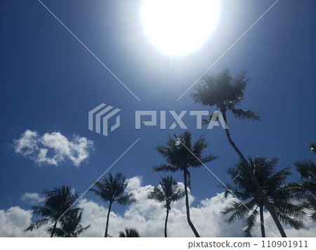 夏天 夏天 110901911