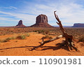 Monument Valley Mitten Butte 110901981