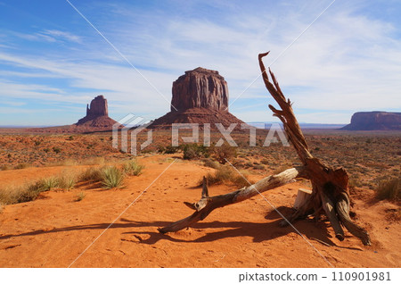 Monument Valley Mitten Butte 110901981