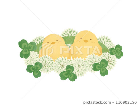 Watercolor illustration of chick and clover and corolla Watercolor illustration of chick and clover and corolla 110902150