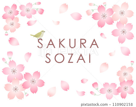 Illustration of pink cherry blossoms and nightingales in three colors Illustration of pink cherry blossoms and nightingales in three colors 110902158