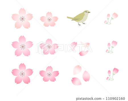 Set of 3 colors of cherry blossoms, petals, buds, and nightingales 110902160