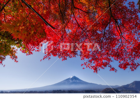 Fuji and autumn leaves 110902354