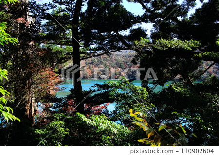 Autumn leaves of Rokukannon Oike seen in the depths of the forest 110902604