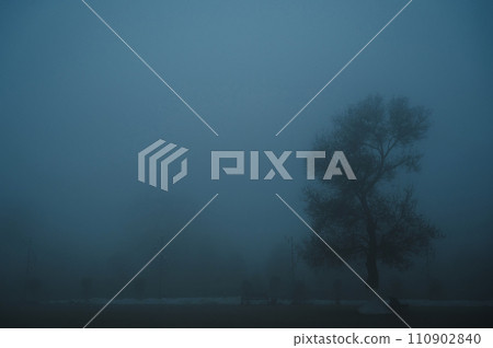 misty mystical landscape with lonely tree in park in fog mist in winter evening misty mystical landscape with lonely tree in park in fog mist in winter evening 110902840